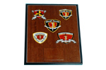 Battalion Mini Plaque